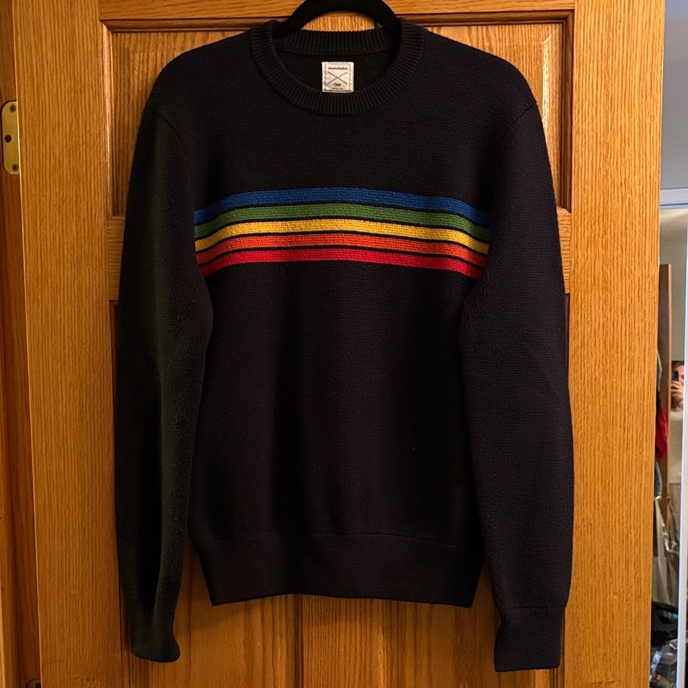 Aviator Nation collab with GAP: Navy Sweater with Rainbow Stripes